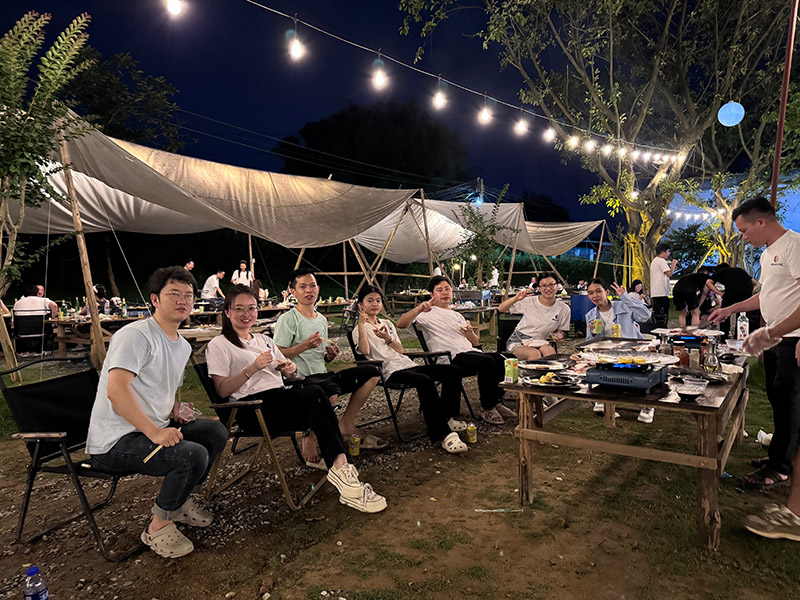 Brintye 15th Anniversay Celebration - BBQ